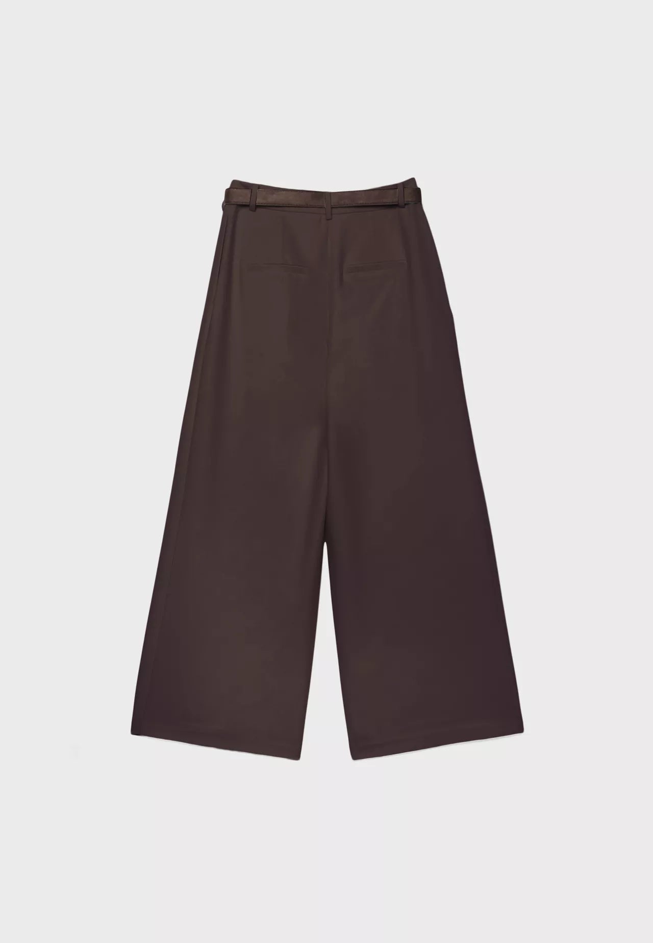Maxi Dart Dark Brown Pleated Pants