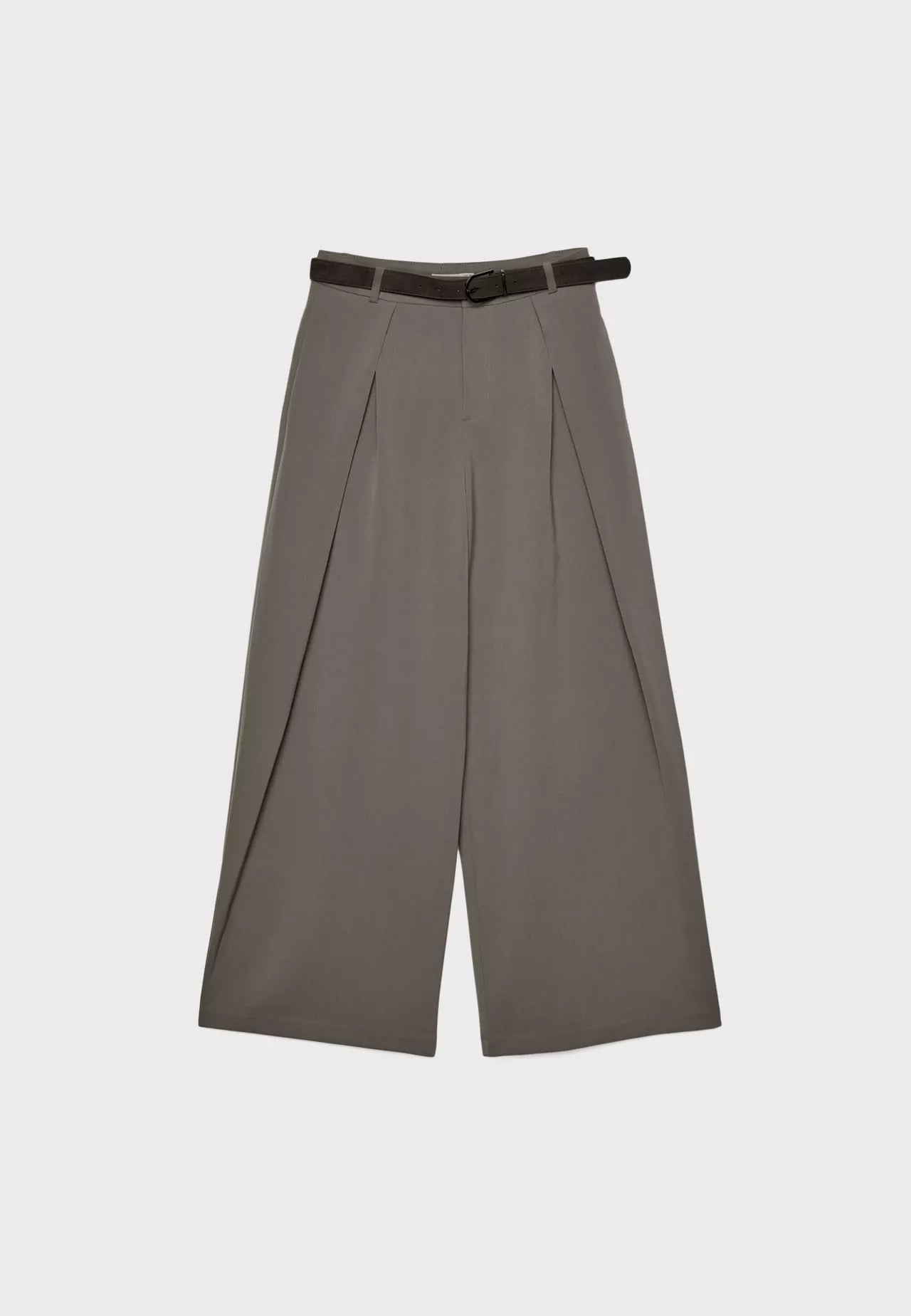 Maxi Dart Brown Pleated Pants