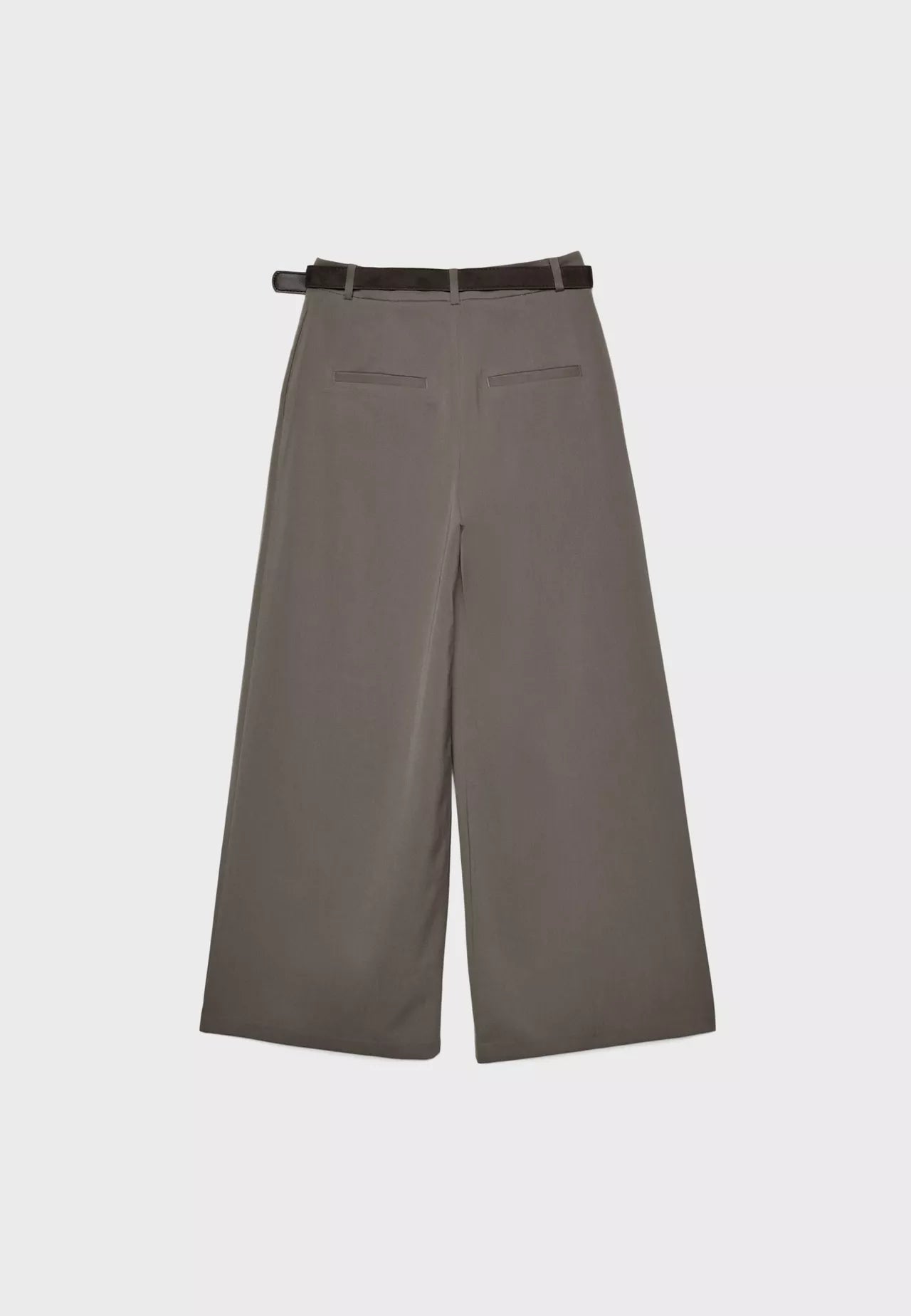 Maxi Dart Brown Pleated Pants